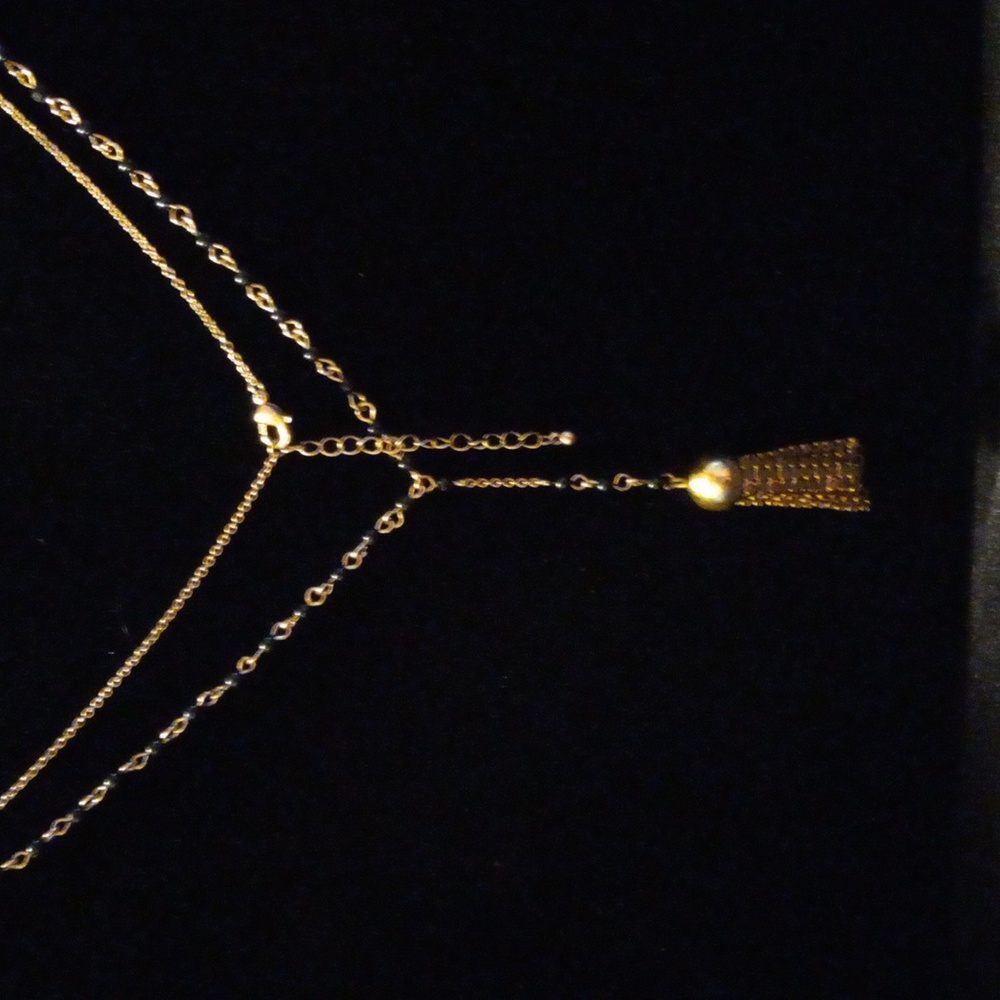 Charlotte Russe tassel necklace